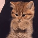 ���� �����, �������, 70 ��� - ��������� 30 ������� 2019 � ������ ���� ����������