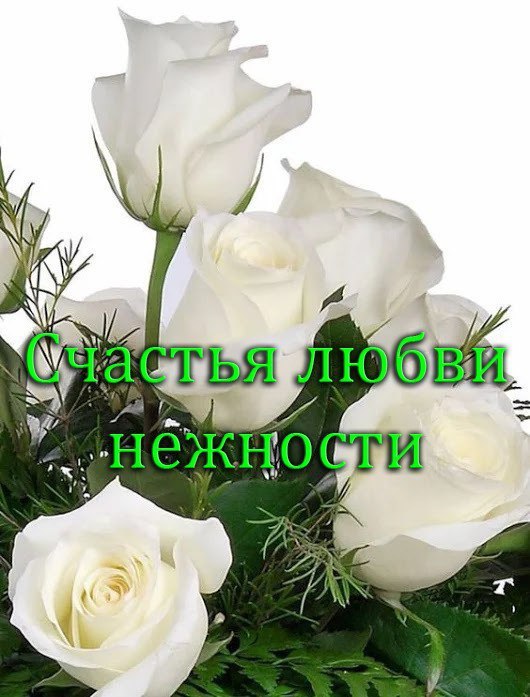   ,    . - 23  2019  07:41 - 2