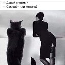 ���� �����, �������, 58 ��� - ��������� 12 ������ 2019 � ������ ���� ����������