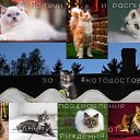 ���� ��������, ����, 43 ���� - ��������� 2 ���� 2019 � ������ ���� ����������