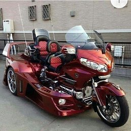 ���� ������, ���������, 42 ���� - ��������� 5 ���� 2019
