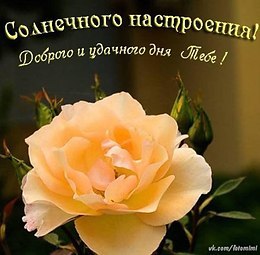   - 6  2019  07:59