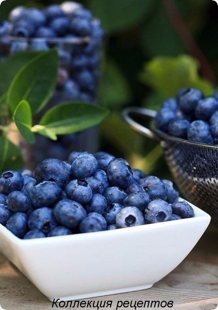   - 4  2019  19:11 - 5