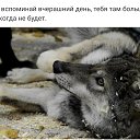 ���� N, ������������� - ��������� 11 ������� 2019 � ������ ������ ��������