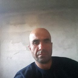 ���� �����, ������, 48 ��� - ��������� 2 ���� 2019