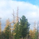 ���� ������, ���������, 56 ��� - ��������� 11 ������ 2019