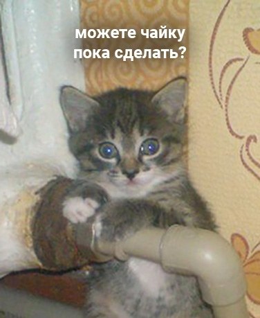   ,    - 2