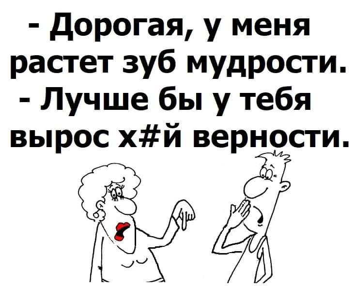  - 3  2019  08:49