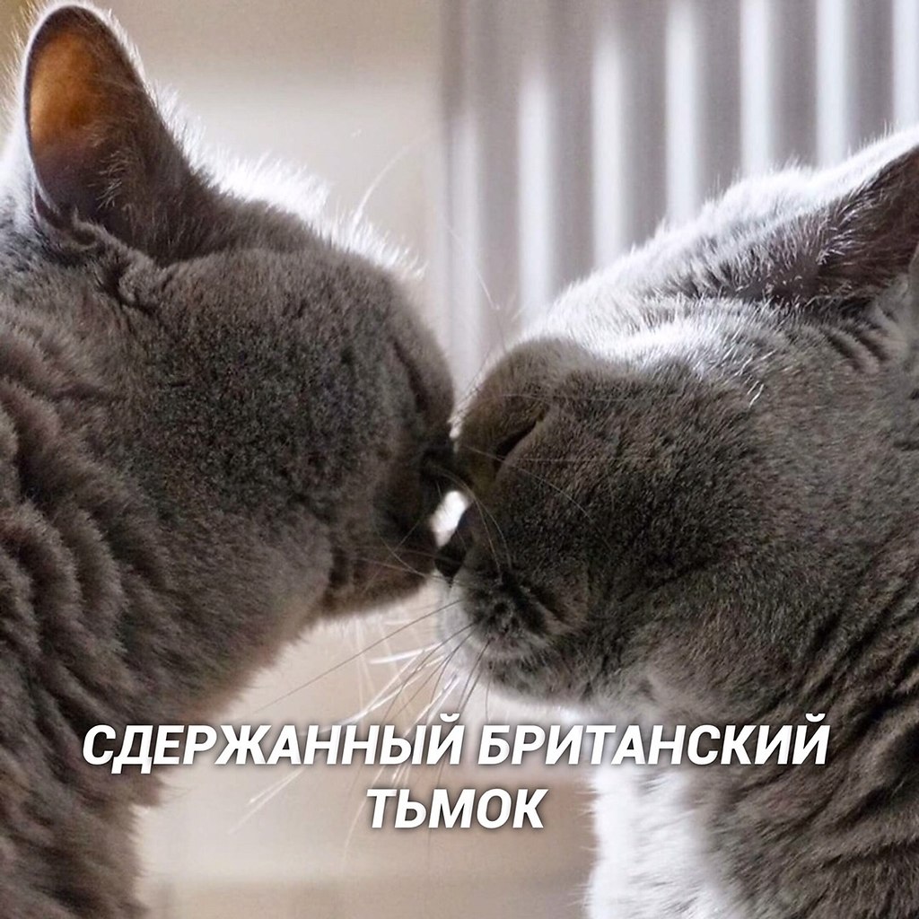 Bu o: - 3