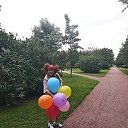 ���� �����, �����-���������, 43 ���� - ��������� 4 ��� 2019 � ������ ���� ����������