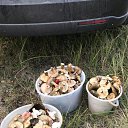 ���� �������, �����-���������, 52 ���� - ��������� 17 �������� 2019