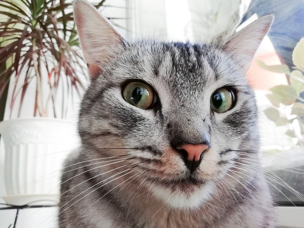 O ,  