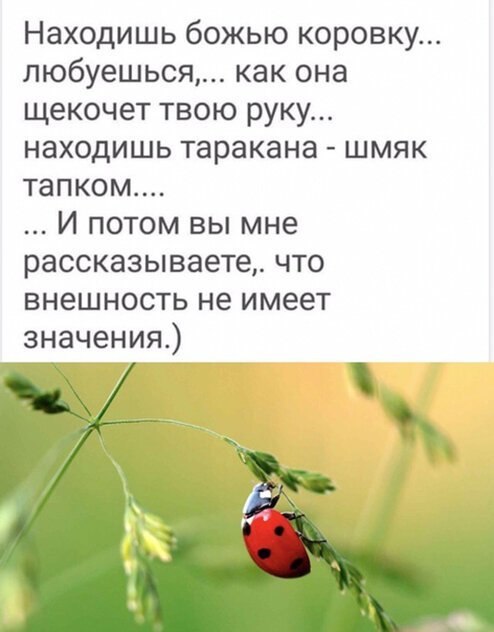   - 6  2019  19:08