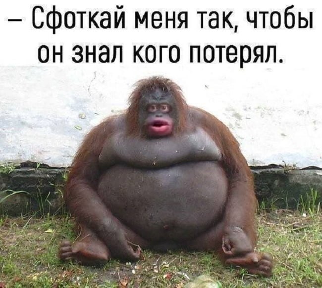  ! - 20  2019  21:57