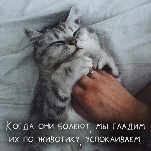   ,           ? - 4
