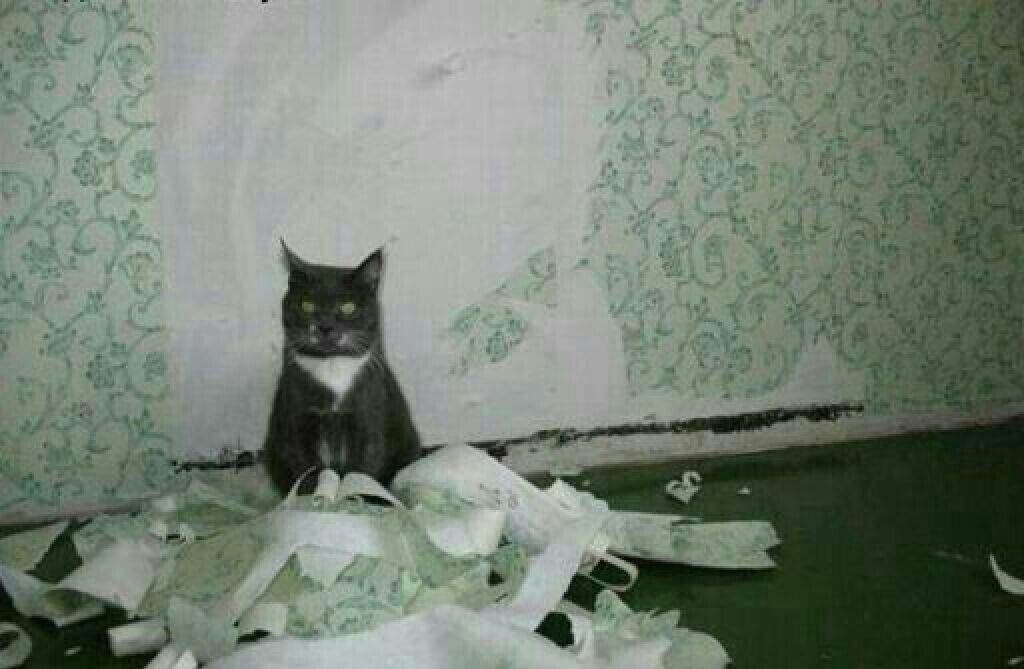   ,   ,  ,     ... ,  ....