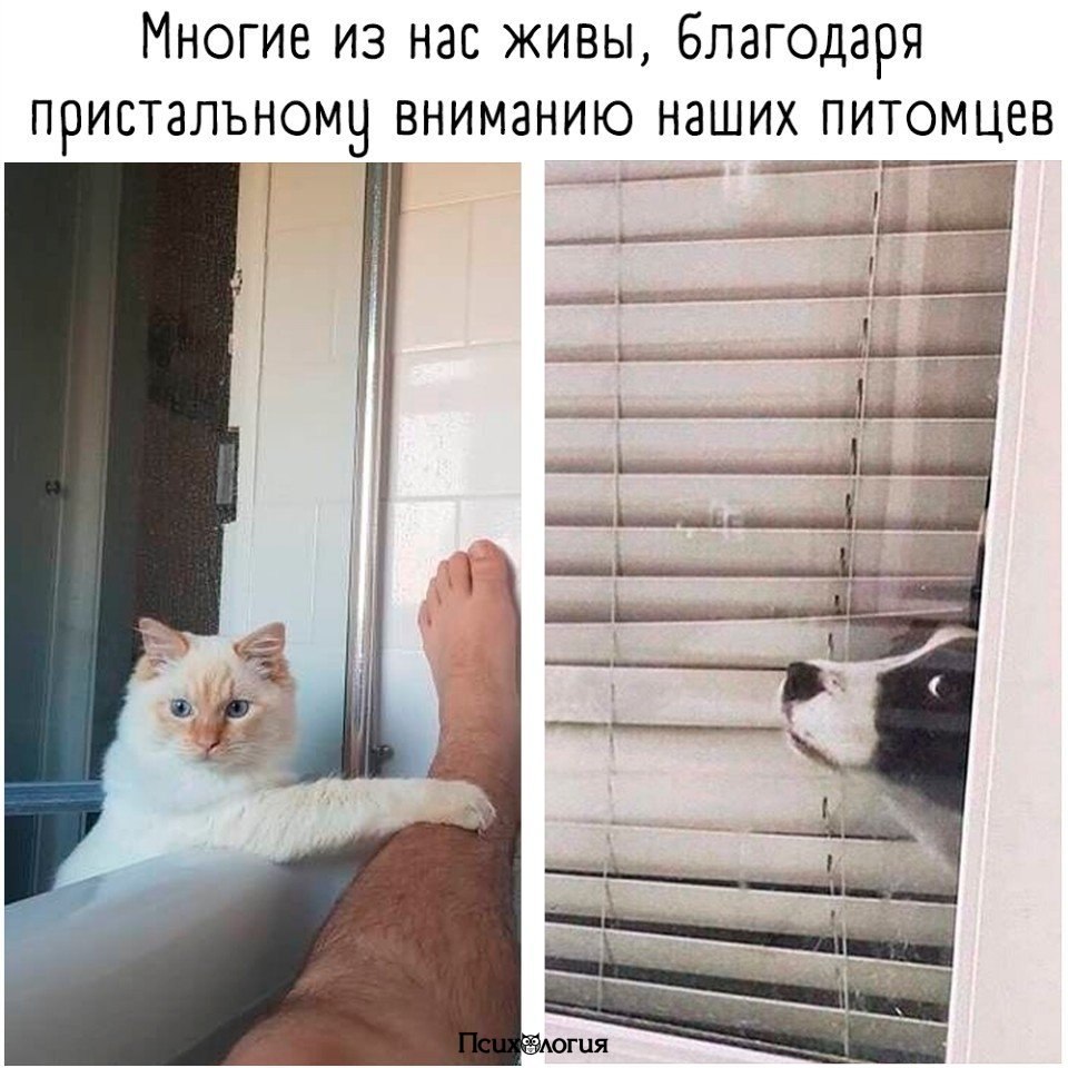  - 22  2019  02:30