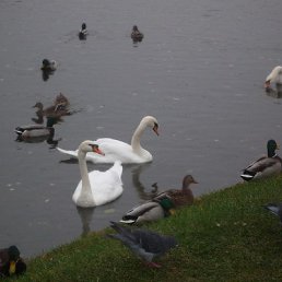 , , 73 