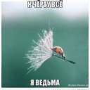 ���� �����, �����-��������� - ��������� 5 �������� 2019 � ������ ������ ��������