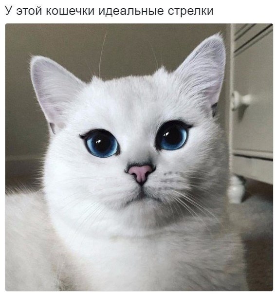    - 16  2019  18:03