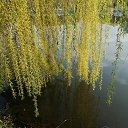 ���� �������, ����� - ��������� 28 ������ 2019 � ������ ���� ����������