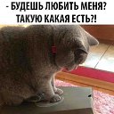 ���� �����, ������� - ��������� 15 ������ 2019 � ������ ���� ����������