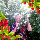 ���� ����, ������, 72 ���� - ��������� 6 ���� 2019 � ������ ���� ����������