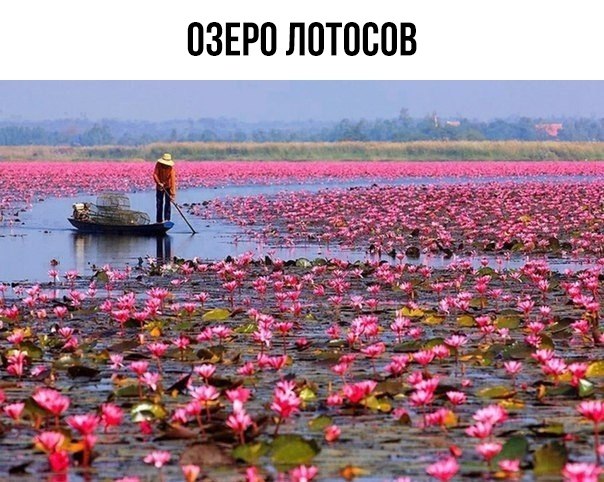    ! - 5  2019  18:41