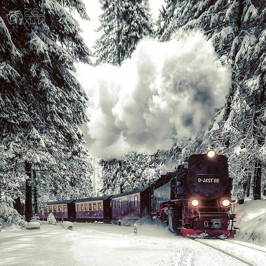 Winter travel in Harz Mountains, Germany