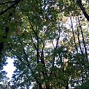 ���� Alex, �������, 55 ��� - ��������� 15 ������� 2019 � ������ ������ ��������