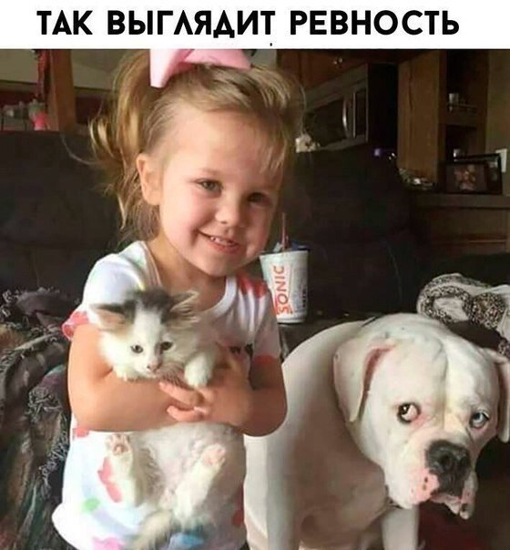? ,  ! - 9  2019  18:48