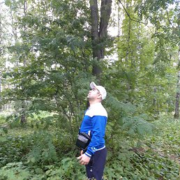 ���� �����, �����-���������, 37 ��� - ��������� 8 ���� 2019