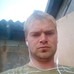 �����, 33 ����, ���������