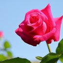 ���� Anna, ������, 36 ��� - ��������� 3 ������� 2019 � ������ ���� ����������