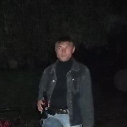 ��������, ������, 51 ���