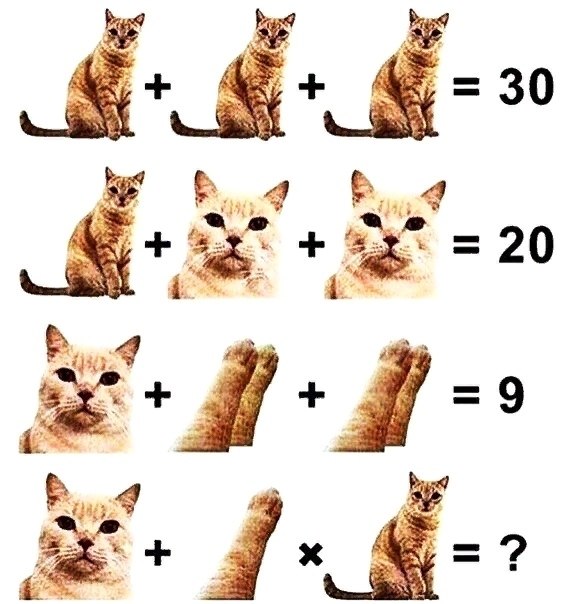 oo oo?