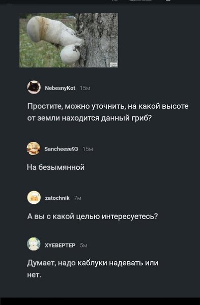   - 26  2019  06:02