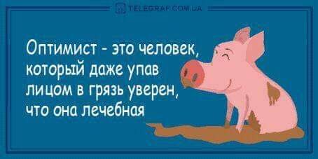  - 3  2019  08:51