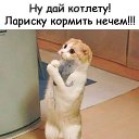���� ����, ����� - ��������� 7 ���� 2019 � ������ ���� ����������