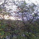 ���� Alex, �������, 55 ��� - ��������� 12 ������� 2019 � ������ ������ ��������