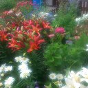 ���� �������, ������, 68 ��� - ��������� 17 ���� 2019 � ������ �2019�