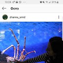 ���� �����, ������, 44 ���� - ��������� 9 ���� 2019 � ������ ���� ����������