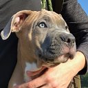 ���� ������, ������, 59 ��� - ��������� 28 ������� 2019 � ������ ���� ����������