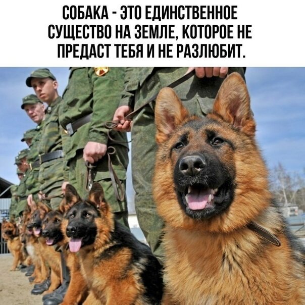   )