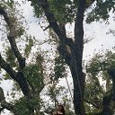 ���� ����� ������������))), �������, 51 ��� - ��������� 29 ������ 2019 � ������ ���� ����������