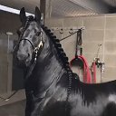 ���� ������, ����, 51 ��� - ��������� 4 ���� 2019 � ������ ������ ��������
