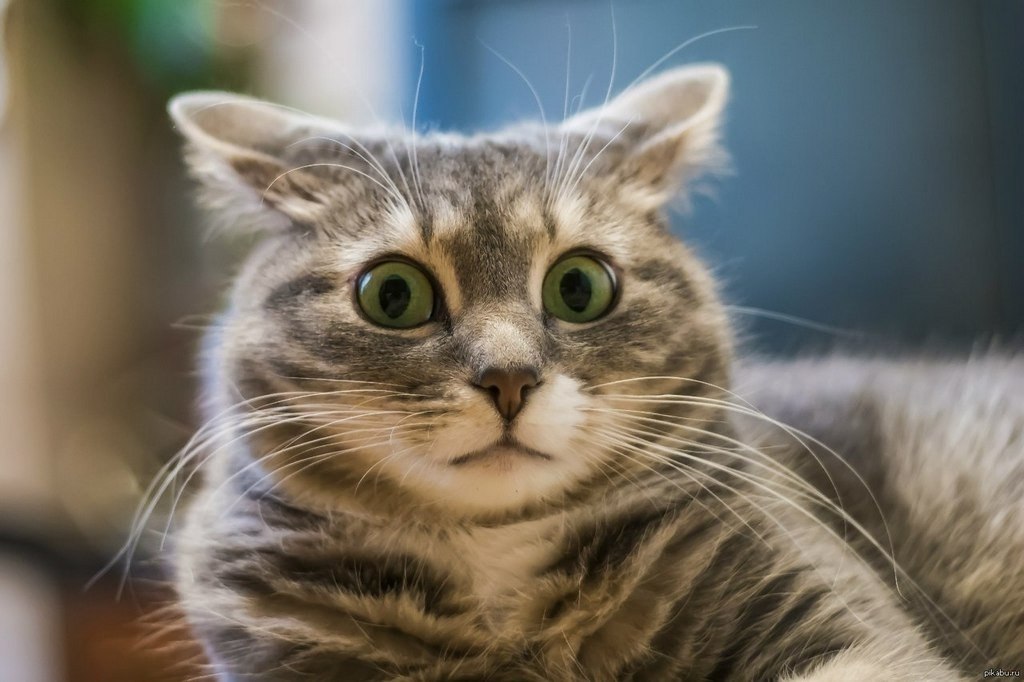 - ,      .. -  ?!.. - 3