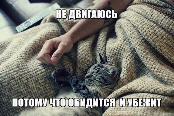    - 28  2019  18:33