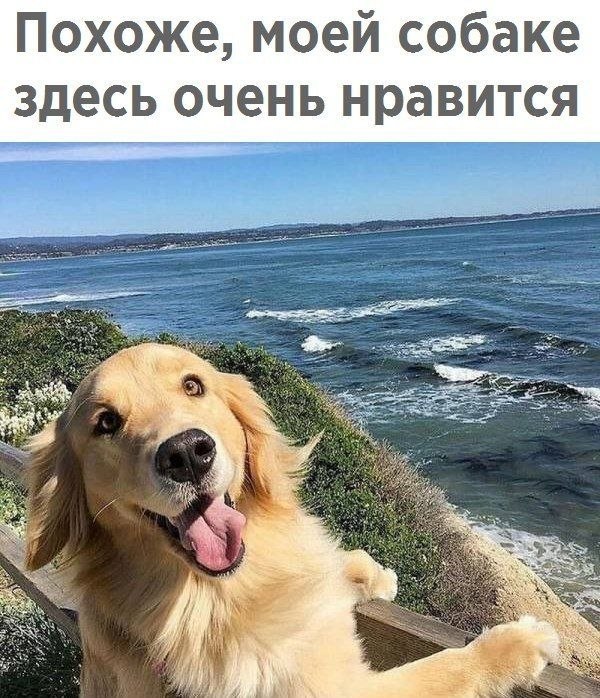  - 16  2019  18:08