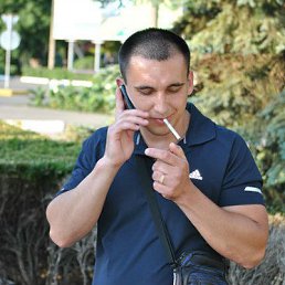 ����, �����������, 43 ����